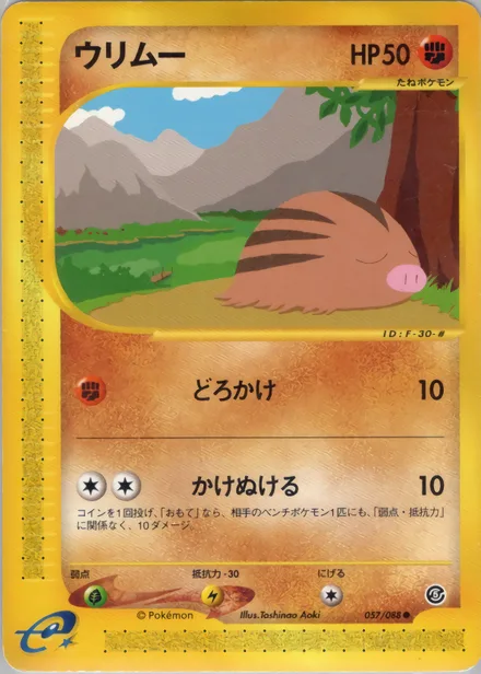 Swinub E5 057/88