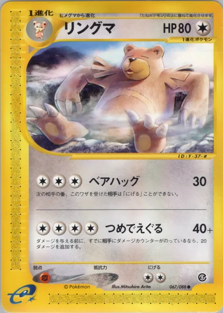 Ursaring E5 067/88
