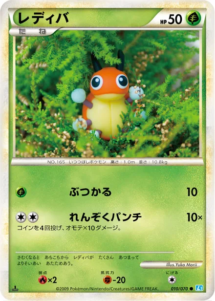 Ledyba L1b 010/070