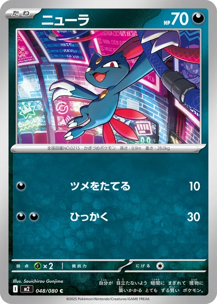 Sneasel M2 048/80