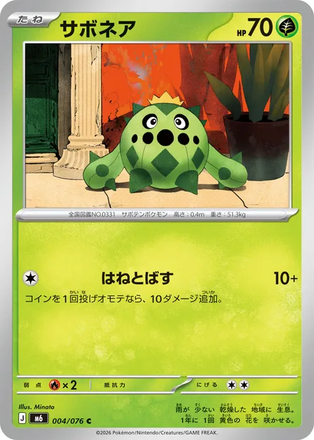 Cacnea M6 004/76