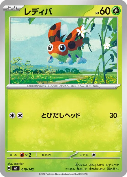 Ledyba MC 019/742