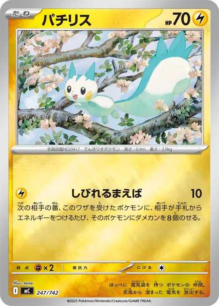 Pachirisu MC 247/742