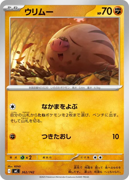 Swinub MC 362/742