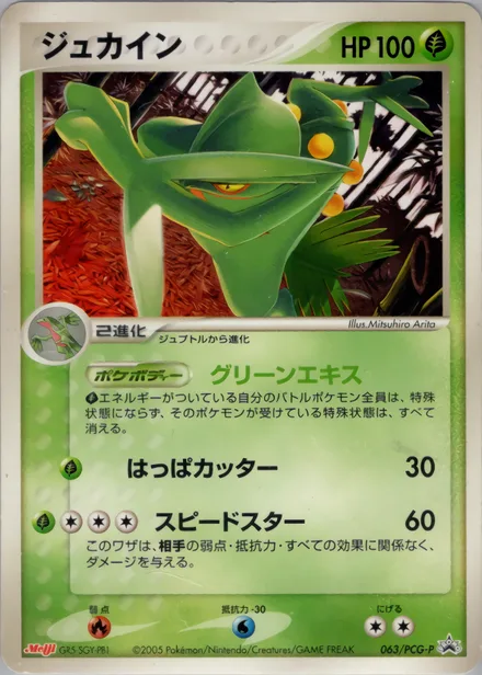 Sceptile PCG-P 063/PCG-P