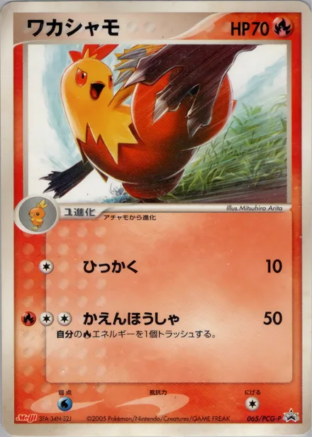 Combusken PCG-P 065/PCG-P