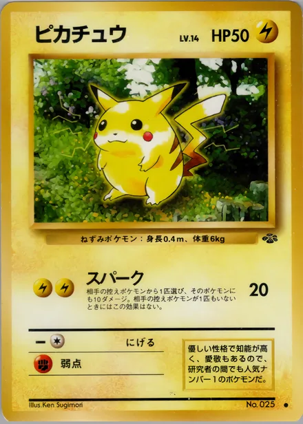 Pikachu PMCG2 024/48
