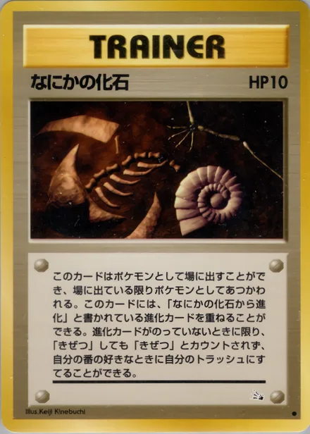 なにかの化石 PMCG3 046/48