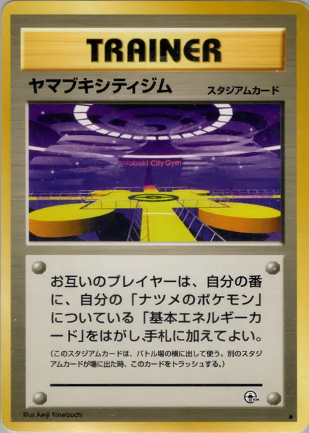 ヤマブキシティジム PMCG6 090/98