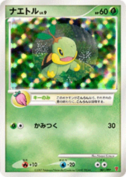 Turtwig PPP 001/PPP