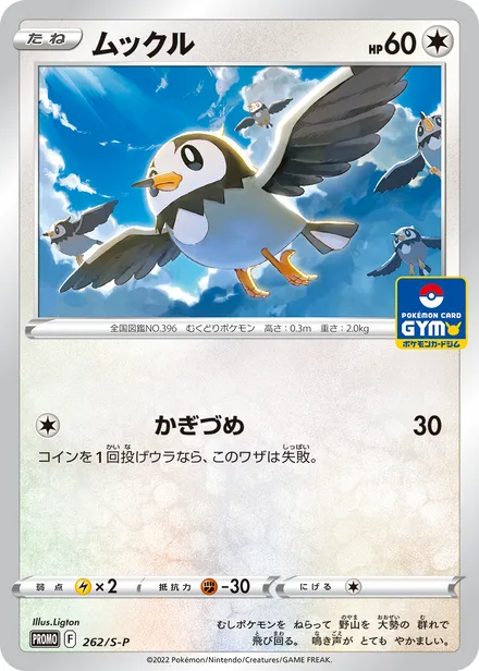 Starly S-P 262/S-P