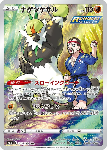 Passimian S8b 203/184
