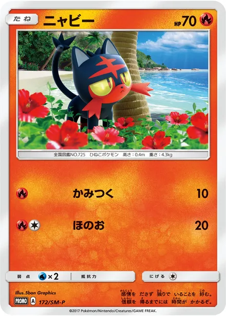 Litten SM-P 172/SM-P