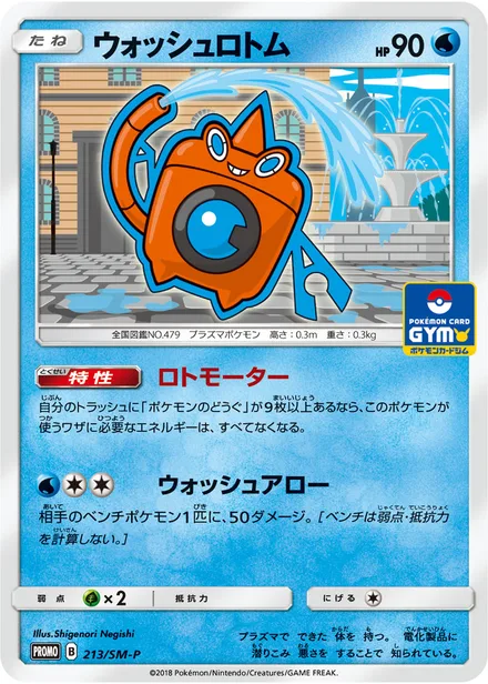 Wash Rotom SM-P 213/SM-P