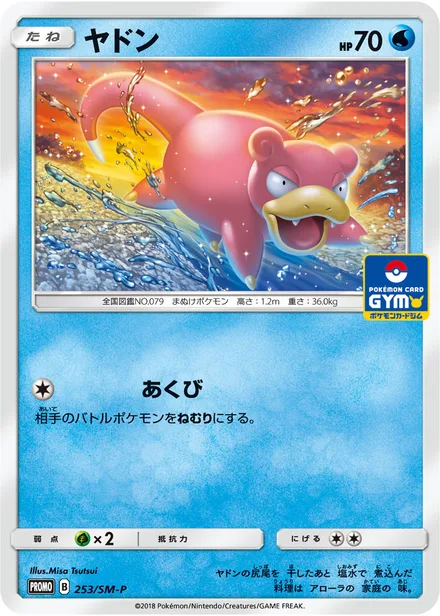 Slowpoke SM-P 253/SM-P