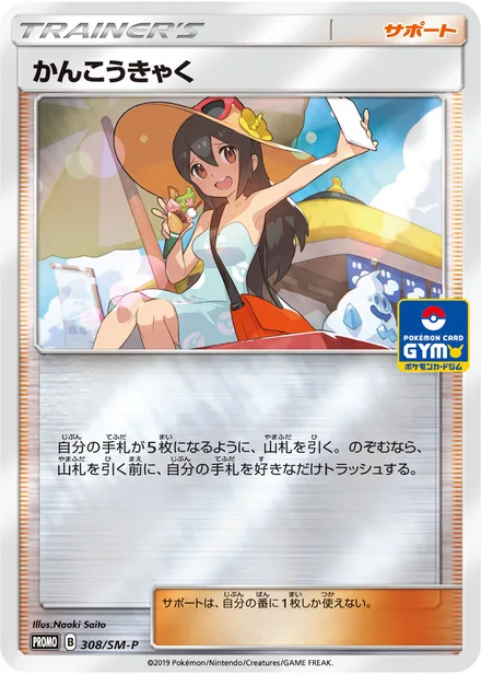 Sightseer SM-P 308/SM-P
