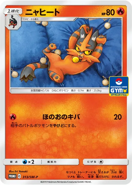 Torracat SM-P 313/SM-P