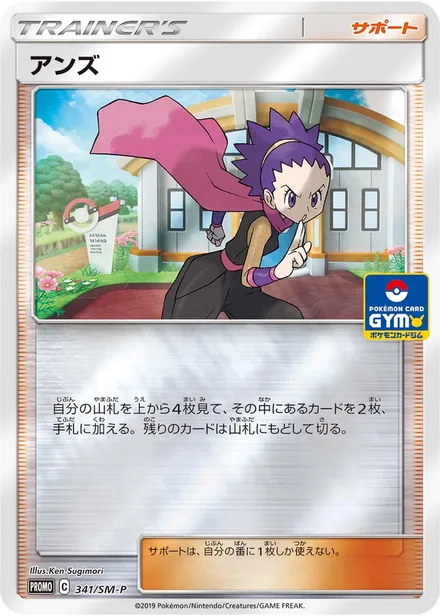 Janine SM-P 341/SM-P