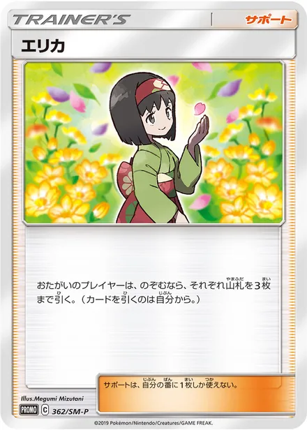 Erika SM-P 362/SM-P
