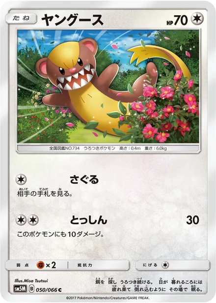 Yungoos SM5M 050/66
