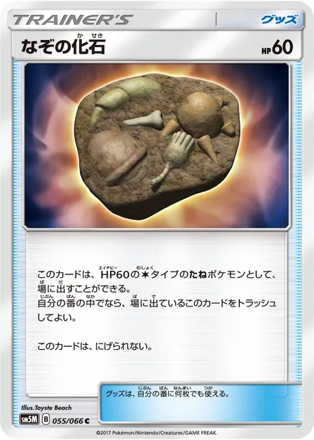 Unidentified Fossil SM5M 055/66