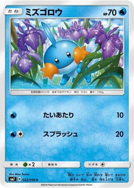 Mudkip SM7 022/96