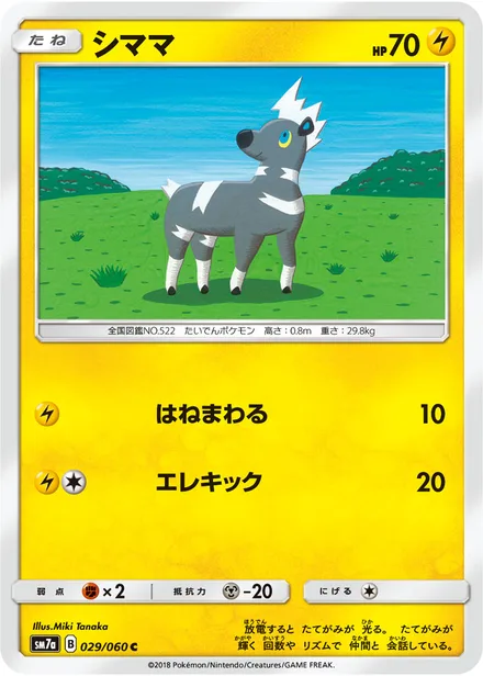 Blitzle SM7a 029/60