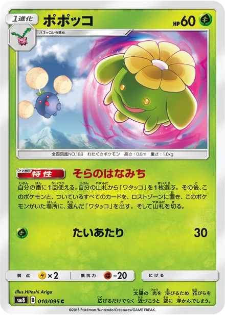 Skiploom SM8 010/95