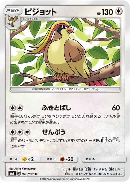 Pidgeot SM9 070/95