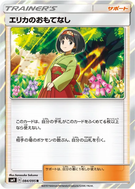 Erika's Hospitality SM9 084/95
