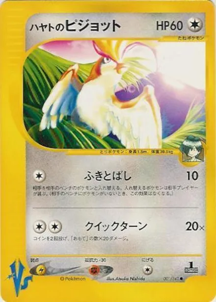 Falkner's Pidgeot VS1 001/141
