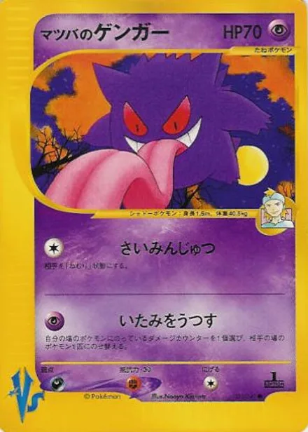 Morty's Gengar VS1 021/141