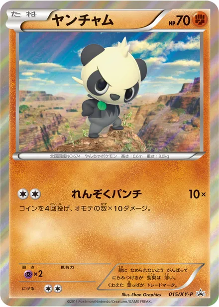 Pancham XY-P 015/XY-P