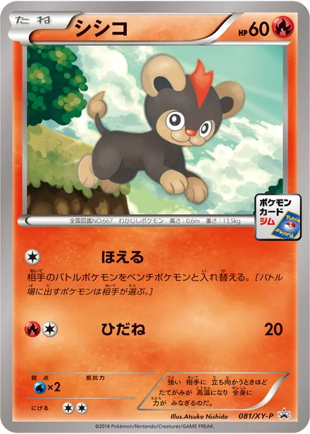 Litleo XY-P 081/XY-P