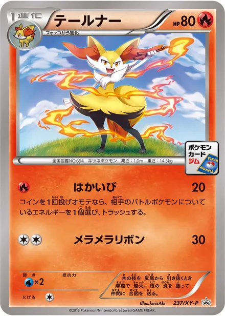 Braixen XY-P 237/XY-P