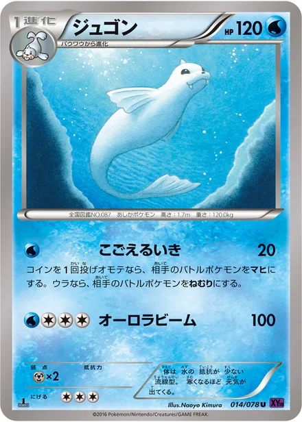 Dewgong XY10 014/078