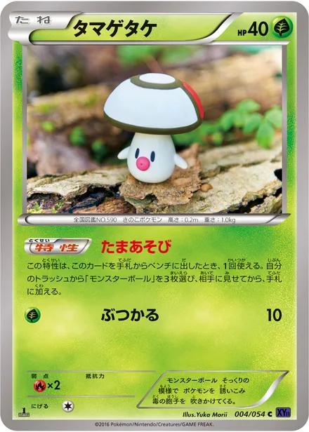 Foongus XY11a 004/054