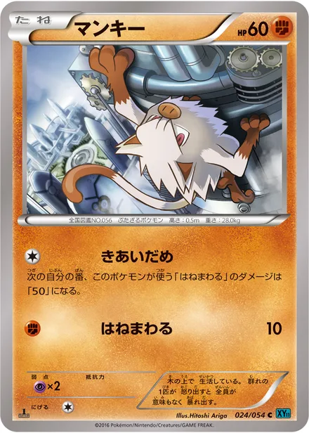 Mankey XY11b 024/054