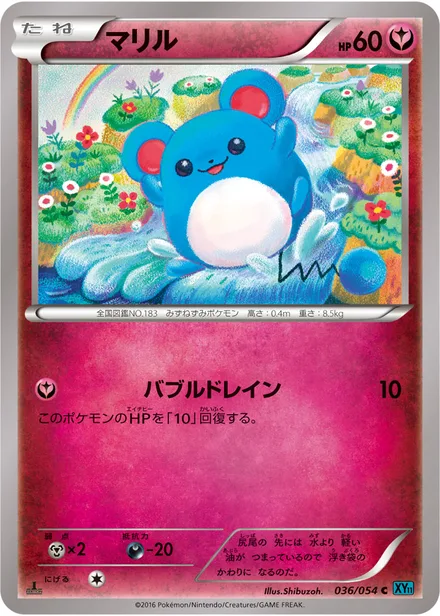 Marill XY11b 036/054