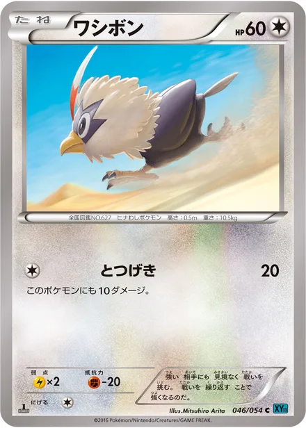 Rufflet XY11b 046/054