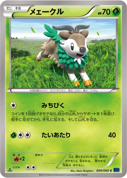 Skiddo XY1a 009/060