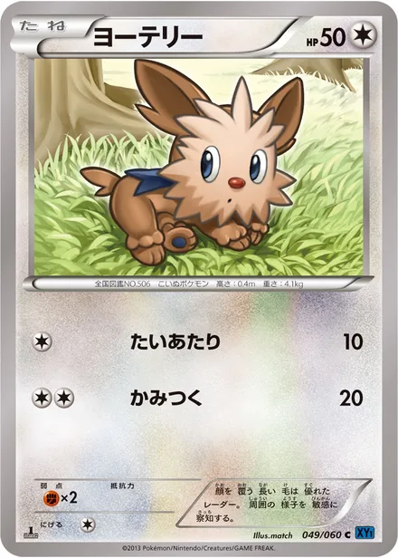 Lillipup XY1a 049/060
