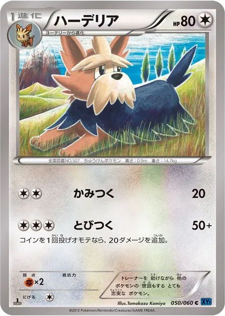 Herdier XY1a 050/060