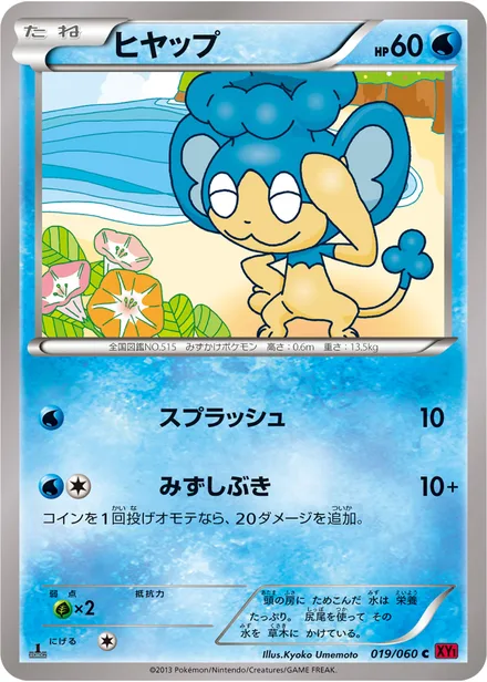 Panpour XY1b 019/060