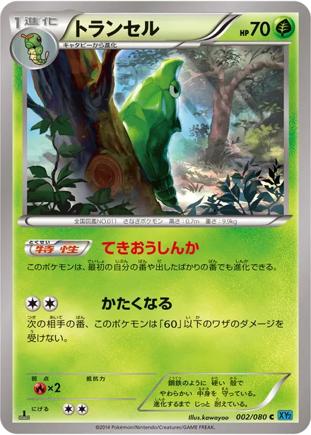 Metapod XY2 002/080