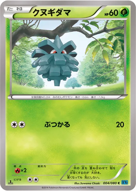 Pineco XY2 004/080