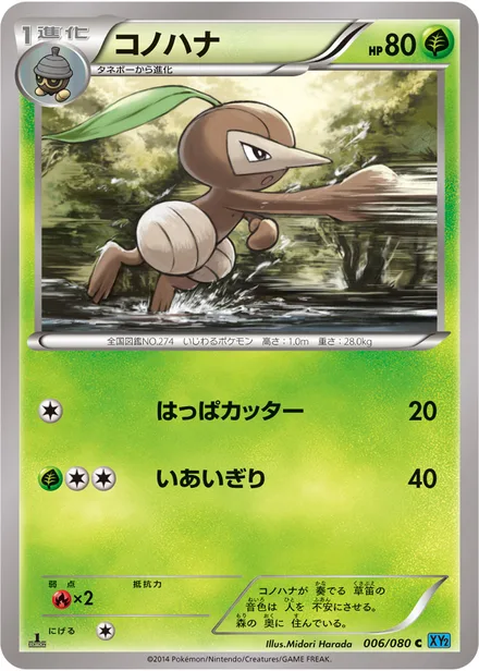 Nuzleaf XY2 006/080