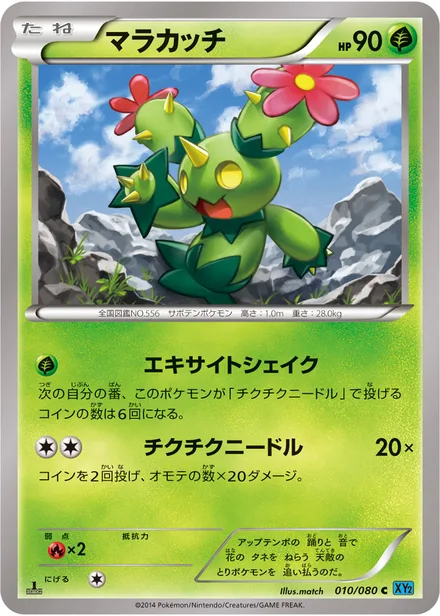 Maractus XY2 010/080
