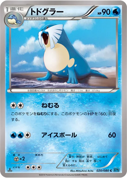 Sealeo XY2 020/080