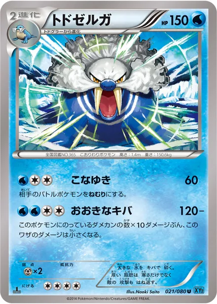 Walrein XY2 021/080